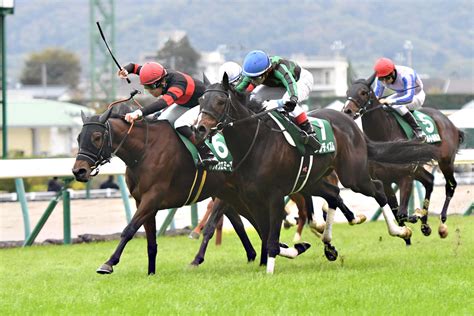 【福島記念結果＆コメント】ホウオウエミーズが重賞初制覇 田辺「精神面の成長を感じるし力もつけています」 競馬ニュース・特集なら東スポ競馬