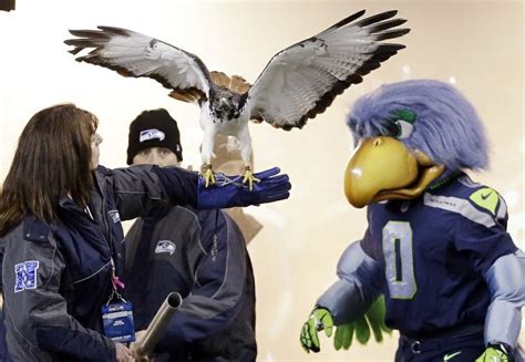 Seahawks Bird Mascot