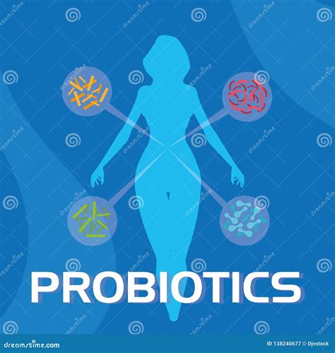 Body Of Woman With Probiotics Organisms Stock Vector Illustration Of