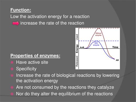 Ppt How Do Enzymes Achieve Specificity Powerpoint Presentation Free Download Id 2869125