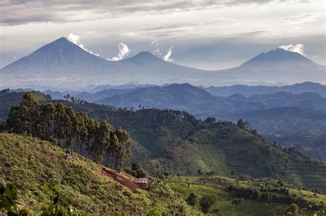 rwanda trips discover nature culture viatu travel