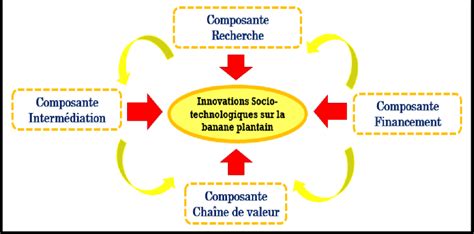 Le Ssia Dans La Fili Re Banane Plantain En C Te D Ivoire Source