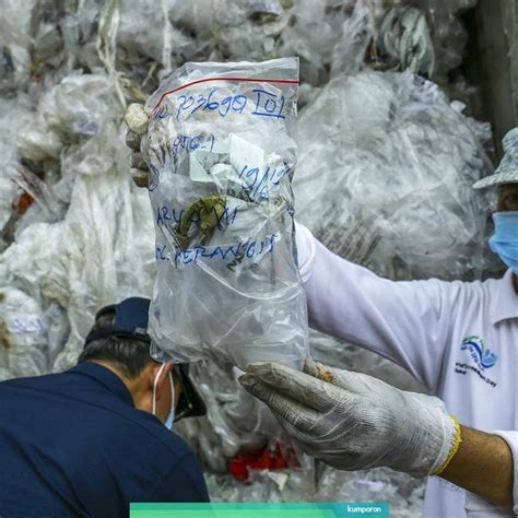 Begini Dampak Sampah Plastik Bagi Lingkungan Dan Kesehatan Manusia