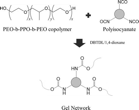 Reaction Scheme Of Crosslinking Of Peo B Ppo B Peo Copolymers With