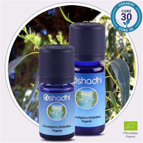 Eucalyptus Globulus Essential Oil Oshadhi Essential Oils