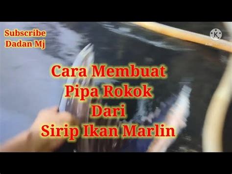 Cara Buat Pipa Roko Dari Sirip Ikan Marlin Pelaut Idekreatip Youtube