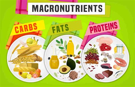 Foods Rich In Macronutrients Top Macronutrients Rich Food Items And