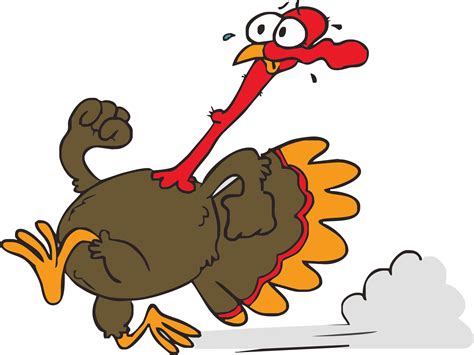turkeys cartoon