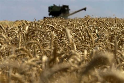 Un Russia In Talks To Extend Ukraine Grain Deal War In Ukraine