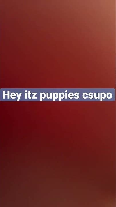 Hey Itz Puppies Csupo Youtube