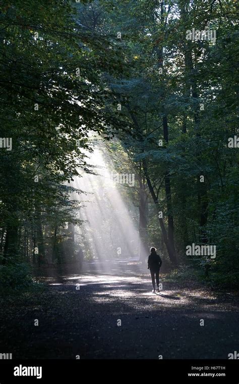 Mujer Corriendo Por El Bosque De Oto O Fotograf As E Im Genes De Alta