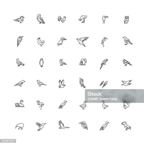 Ensemble Doiseaux Différents Icônes De Ligne Vectorielle Ensemble