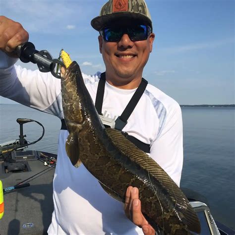 Harman Branch Fishing Reports🎣• Hagerstown Md United States Fishing