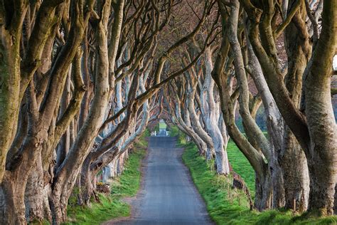 Ireland, County Antrim, Ballymoney Photograph by Walter Bibikow - Fine ...