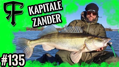 Große Zander Schlag auf Schlag LIVEBISSE So fängt jeder seinen großen