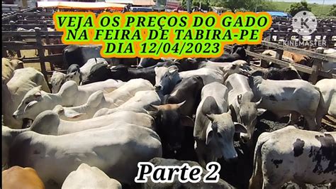 Feira Do Gado De Tabira PE Segunda Parte Dia 12 De Abril De 2023 YouTube