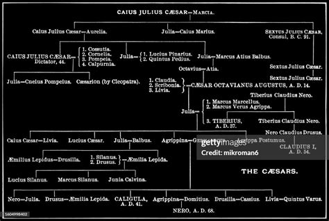 Old Engraved Diagram Of Family Tree Of The Caesars Of The Roman Empire ...