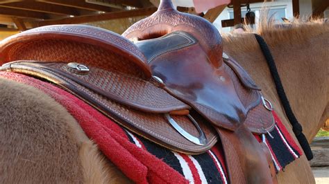 English Saddles Vs Western Saddles Best Horse Gears