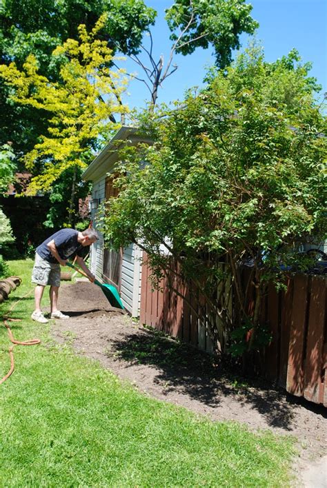 Backyard Progress Rambling Renovators