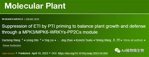 Molecular Plant 南京农业大学研究揭示植物免疫平衡植物生长和防御的机制！ 知乎