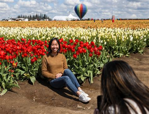 Wooden Shoe Tulip Farm