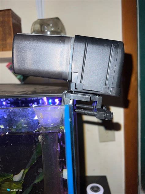 5 Best Automatic Fish Feeders Tested Reviewed 2024