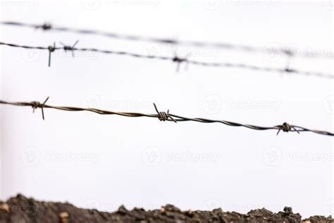 Wired Fence Stock Photos, Images and Backgrounds for Free Download