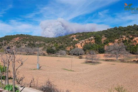 Extinguido El Incendio Forestal Del Alto Tajo En Guadalajara MiraCorredor