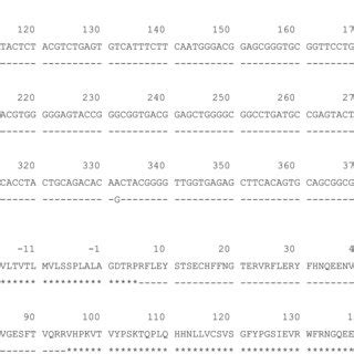 Sequence Alignment Of The Novel HLADRB1 14 50 02 Allele With The