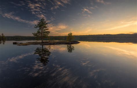 Fondos de pantalla agua oscuro Árboles luz de sol reflexión