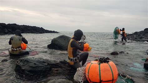 Student Contest Winner Haenyeo Real Life Aquawomen The New York Times