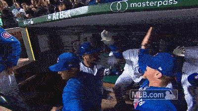 Best chicago cubs GIFs - Primo GIF - Latest Animated GIFs