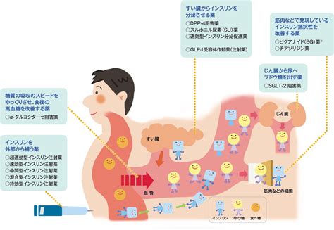 糖尿病の飲み薬 さくら内科クリニック