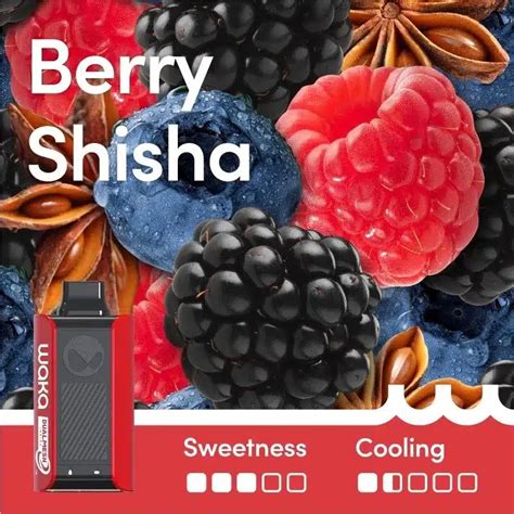 Waka SoPro 10000 Puffs Berry Shisha Vape DFO Australia