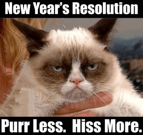 Super Funny New Years Eve Memes That Will Have You Chuckling Eu