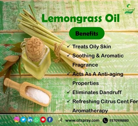 Lemongrass Perfume Fragrance Oil At Rs 1100kg New Sneh Nagar