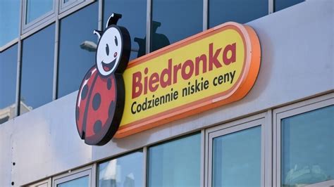 Kalosze to jesienny niezbędnik Modny model kupisz w Biedronce za