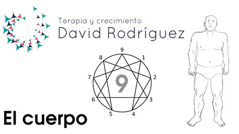 El Cuerpo Del Eneatipo Pereza Youtube