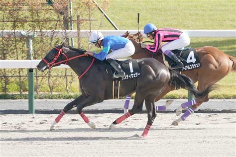 【全日本2歳優駿】コスダコレダ～ナスティウェザー高い操縦性で初のマイル克服へ｜競馬ニュース｜競馬予想のウマニティ