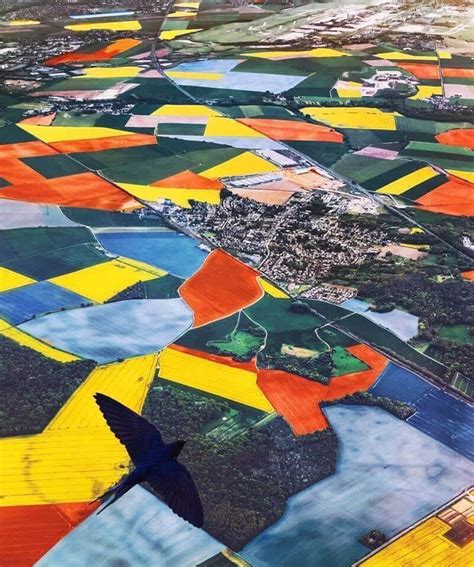 Aerial View of the Netherlands during Tulip Season. : r/pics