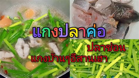 แกงปลาค่อปลาช่อนใส่ผักบั่วผักอีตู่สูตรบ้านๆง่ายๆ Youtube