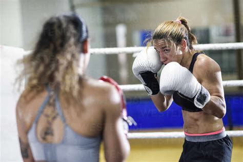 Female Boxers Sparring In The Ring Of A Boxing Club Stock Photo