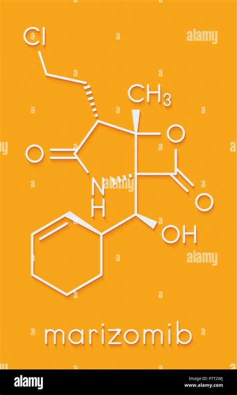 Salinosporamide Marizomib Un Medicamento Contra El C Ncer Mol Cula