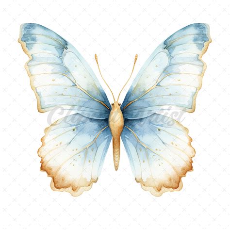 20 High Quality Blue Gold Butterfly Clipart Blue Butterfly Digital