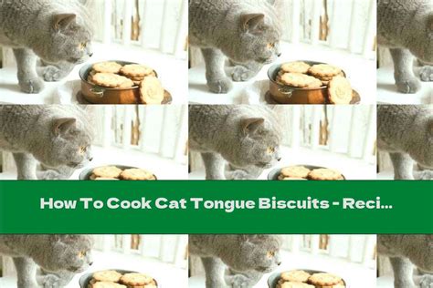 How To Cook Cat Tongue Biscuits Recipe This Nutrition