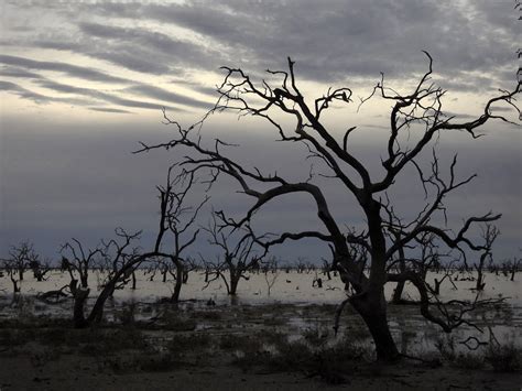 Menindee Lakes 1 - NSW by wildplaces on DeviantArt