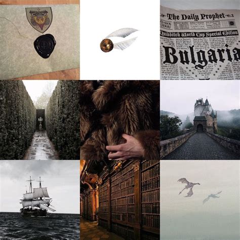 Harry Potter Mood Board Victor Krum Harry Potter Hogwarts Houses