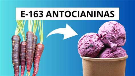 Colorante Alimentario NATURAL E 163 ANTOCIANINA Aditivos