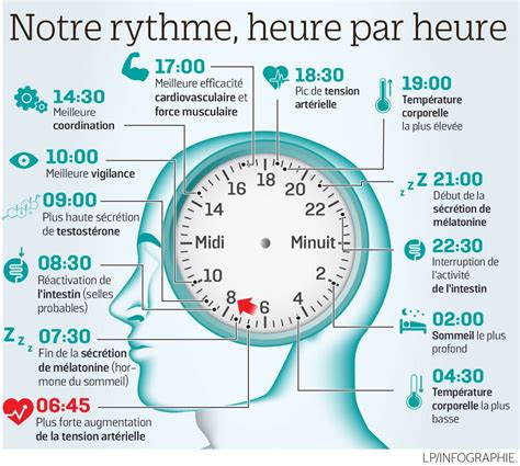 Ne déréglez pas votre horloge biologique Le Parisien