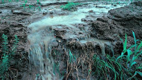 Why Is Silage Effluent So Pollutive — The Silage Consultant